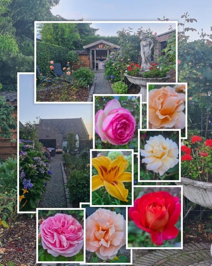 La Rose Bed & Breakfast Pelt Luaran gambar
