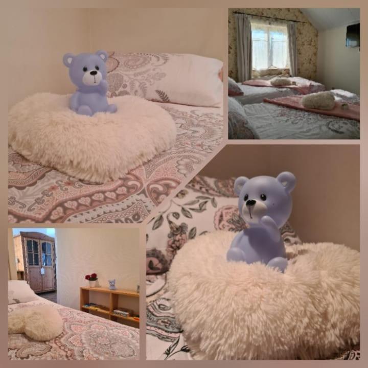La Rose Bed & Breakfast Pelt Luaran gambar